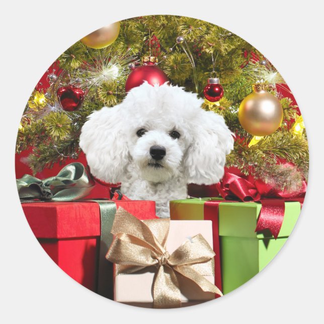 Sticker Rond Noël aux canicules blanches (Devant)