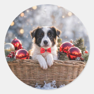 Sticker Rond Noël Bordure de Noël Collie Puppy