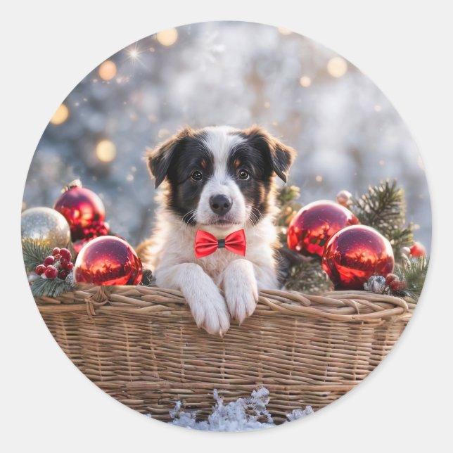 Sticker Rond Noël Bordure de Noël Collie Puppy (Devant)