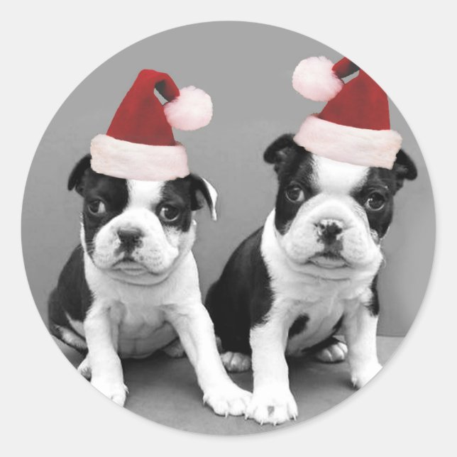 Sticker Rond Noël Boston Terriers (Devant)