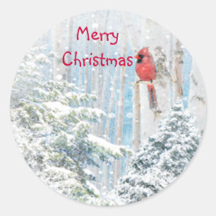 Sticker Rond Noël, Cardinal des neiges d'hiver Oiseau rouge