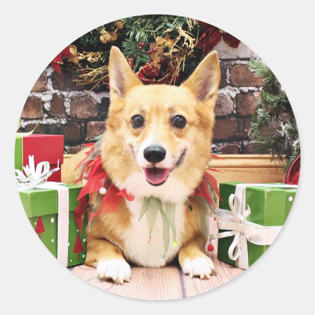 Sticker Rond Noël - Corgi - Pancake (Devant)