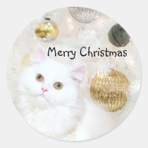 Sticker Rond Noël de chaton perse blanc