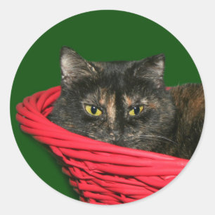 Sticker Rond Noël d'écaille