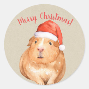 Sticker Rond Noël Hamster Cochon d'Inde Pays Fêtes