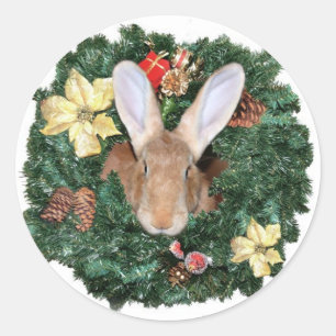Sticker Rond Noël lapin