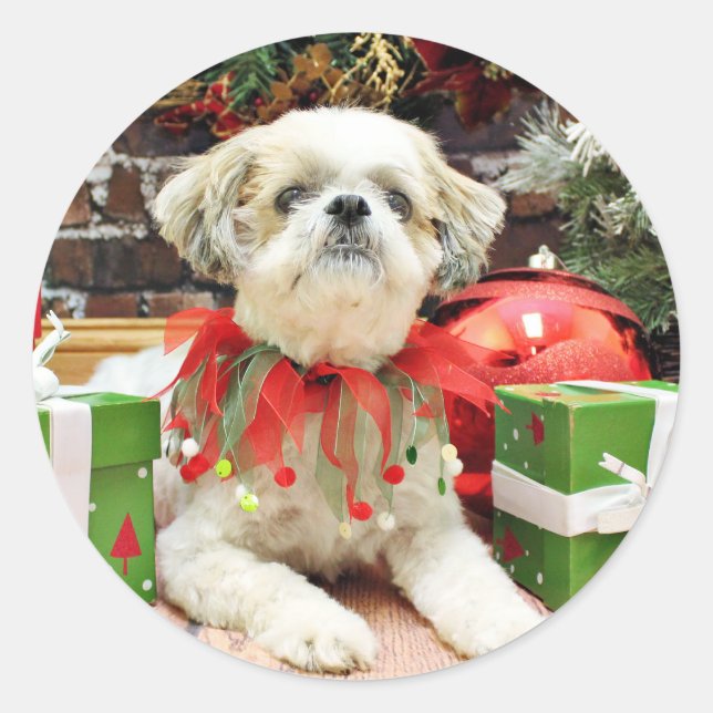 Sticker Rond Noël - Shih Tzu - Bailey (Devant)