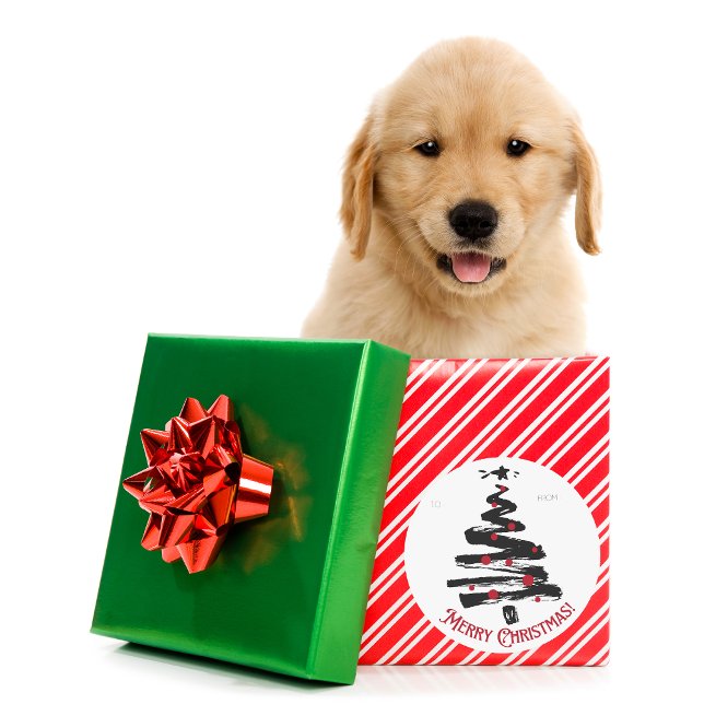 Sticker Rond Noël, Vacances, Noël moderne, Saison des Fêtes, C2 (Créateur téléchargé)