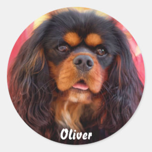 Sticker Rond Noir et Tan Cavalier King Charles Spaniel Chien