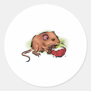 Sticker Rond noix mangeuse de gerbine mignonne