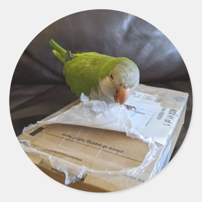 Sticker Rond Norbert le Parrot aime ouvrir des paquets (Devant)