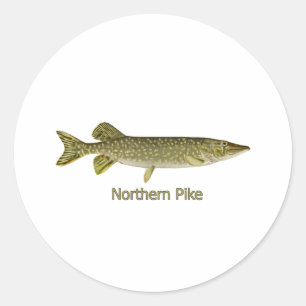 Sticker Rond Northern Pike Art (titre)