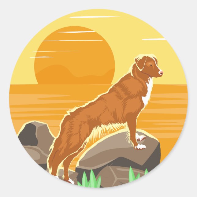 Sticker Rond Nova Scotia Duck Tolling Retriever Sunset (Devant)