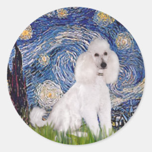 Sticker Rond Nuit étoilée - Caniche blanc standard (C)