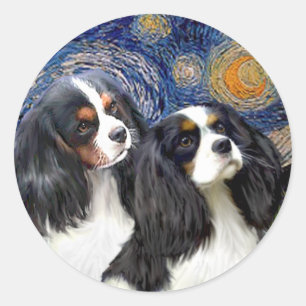 Sticker Rond Nuit étoilée - Deux Tri Cavaliers