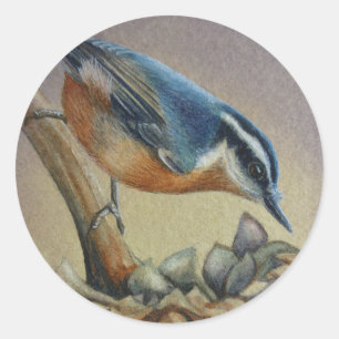 Sticker Rond Nuthatch Oiseau et graines de tournesol Aquarelle 