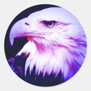 Sticker Rond Oeil d'aigle