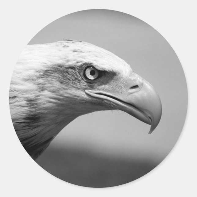 Sticker Rond Oeil d'aigle noir et blanc (Devant)