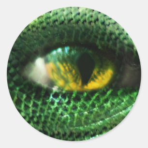Sticker Rond Oeil de...