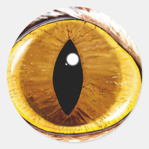 Sticker Rond Oeil de chat peint