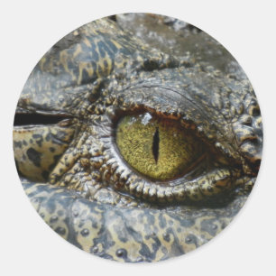 Sticker Rond œil de crocodile visage animal personnalisé diy