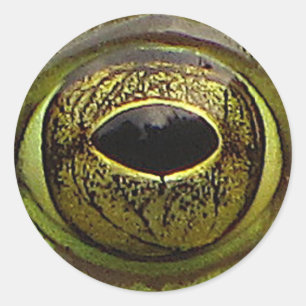 Sticker Rond OEil de grenouille