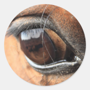 Sticker Rond Oeil du cheval