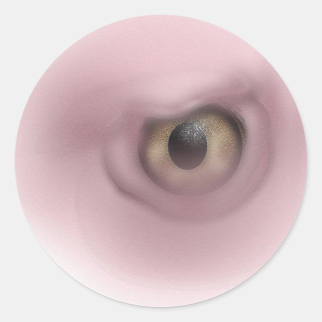 Sticker Rond OEil vautour (Devant)