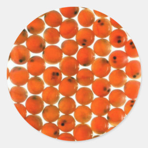 Sticker Rond Oeuf saumon
