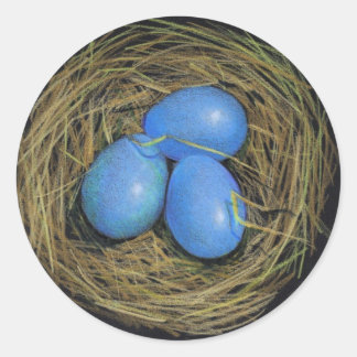 STICKER ROND OEUFS D'OISEAU DANS LE NID : ART DE RÉALISME :