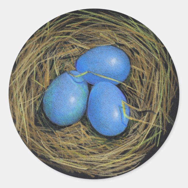 STICKER ROND OEUFS D'OISEAU DANS LE NID : ART DE RÉALISME : (Devant)