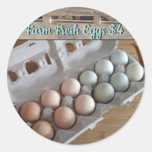 Oeufs frais de ferme