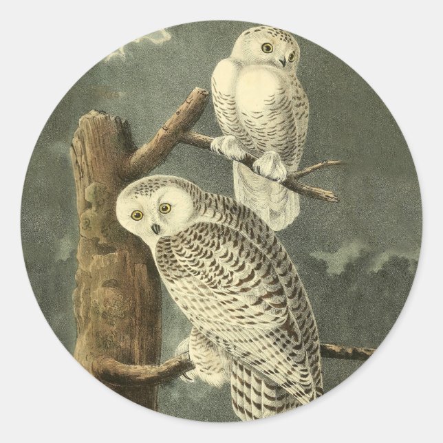 Sticker Rond OEuvre d'OEuf Audubon (Devant)
