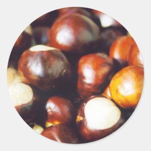 Sticker Rond Ohio Buckeyes