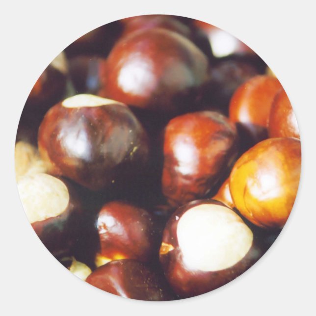 Sticker Rond Ohio Buckeyes (Devant)