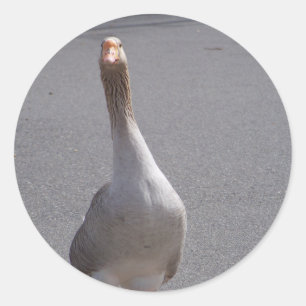 Sticker Rond Oie !