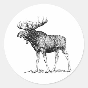 Sticker Rond Oie