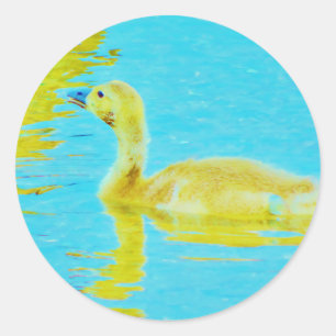 Sticker Rond Oie-bébé jaune avec eau bleu clair