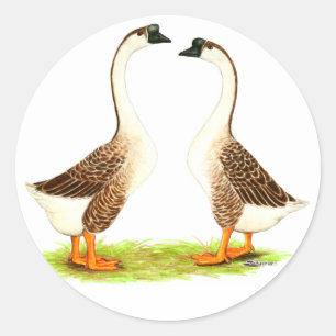 Sticker Rond Oies : Chinois Brown