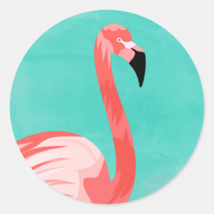 Sticker Rond Oiseau de Flamant rose