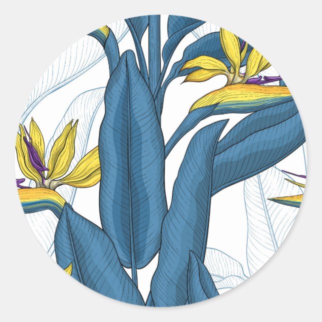 Sticker Rond Oiseau de fleurs de paradis sur blanc (Devant)