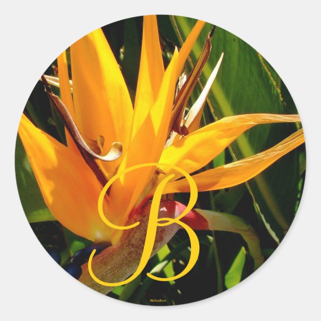 Sticker Rond Oiseau de mariage tropical du Paradis Monogramme B (Devant)