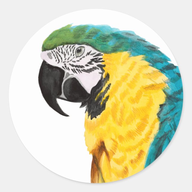 Sticker Rond Oiseau de perroquet tropical (Devant)