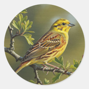 Sticker Rond Oiseau d'État de l'Alabama Yellowhammer