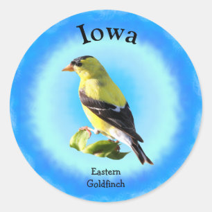 Sticker Rond Oiseau d'État de l'Iowa