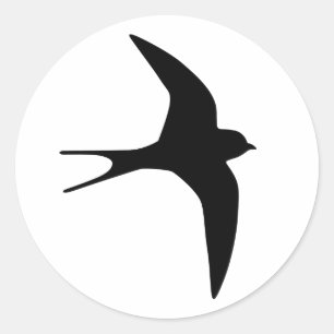 Sticker Rond Oiseau d'hirondelle