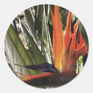 Sticker Rond Oiseau du Paradis Strelitzia Reginae Acrylique Pai