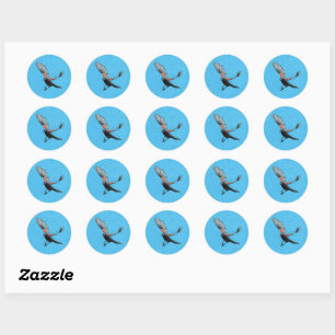 Sticker Rond Oiseau noir à ailes rouges