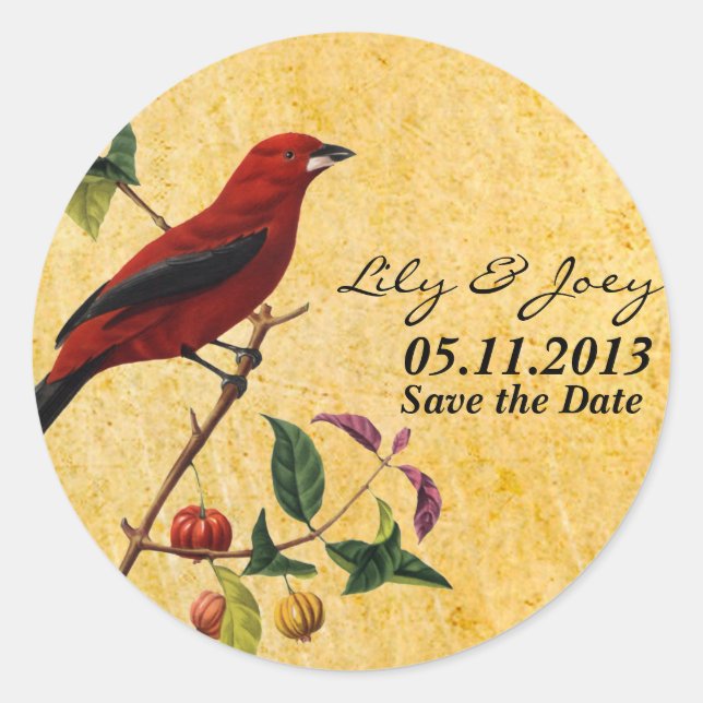 Sticker Rond Oiseau rouge (Devant)