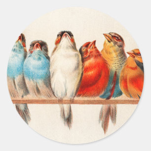 Sticker Rond Oiseaux Assis joliment et calme